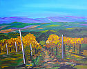 Vigneto_40x50.jpg