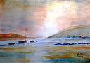 Filename=mare_notte.jpg
Filesize=88KiB
Dimensions=493x347
Date added=Apr 27, 2011 mare_notte.jpg
